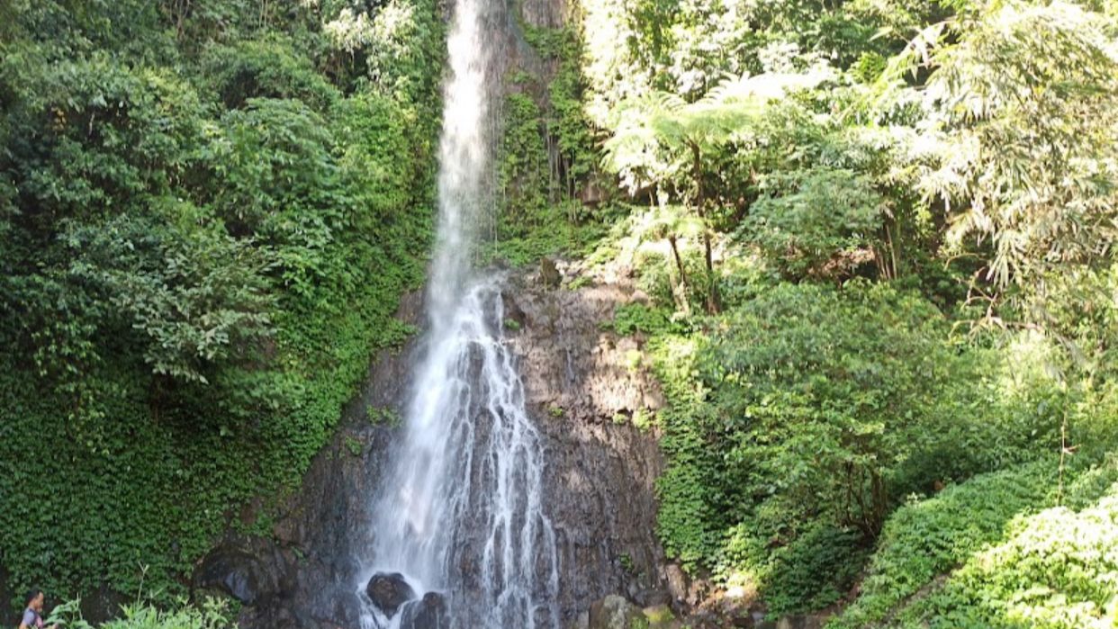 Slide 4